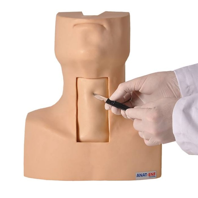 Simulador de Traqueostomia-e395fa7a-26d1-4290-9bd6-783e19d64781