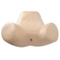 Simulador Ginecológico com Útero Saudável e Patológicos-cce83ca0-6767-4ddc-9542-a438a98fa203