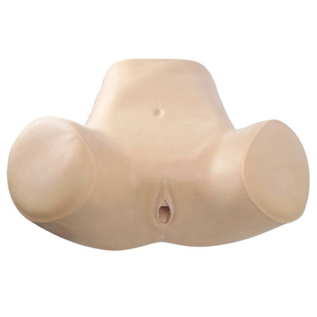 Simulador Ginecológico com Útero Saudável e Patológicos-1fd34fd1-1d98-4ba0-9737-aa14ea88cc77