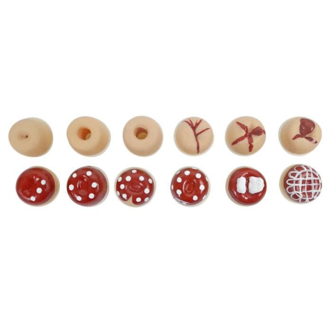 Simulador Ginecológico com Útero Saudável e Patológicos-c17bc899-989d-454a-a0ba-286ad7c91965