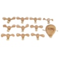 Simulador Ginecológico com Útero Saudável e Patológicos-1b15e23d-bfee-4449-85b7-a0842ffca8ce