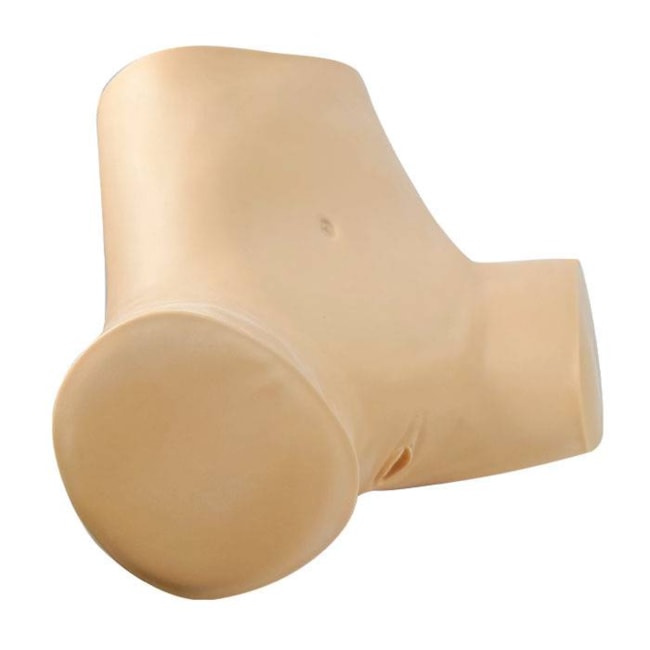 Simulador Ginecológico com Útero Saudável e Patológicos-f432a246-8fbc-492c-bbdb-ad69a7b029d5