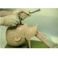 Simulador Infantil para Treino de Intubação Traqueal