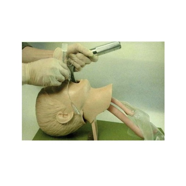 Simulador Infantil para Treino de Intubação Traqueal-a1959ecb-6d40-4e89-8891-f0b4fc8c0d77