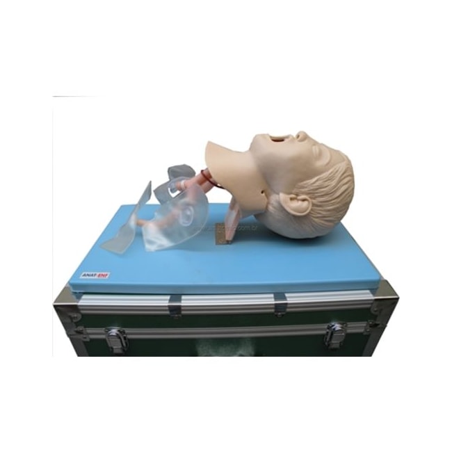 Simulador Infantil para Treino de Intubação Traqueal-18538060-80d4-4b7b-84f8-9a5bc9b04f8b