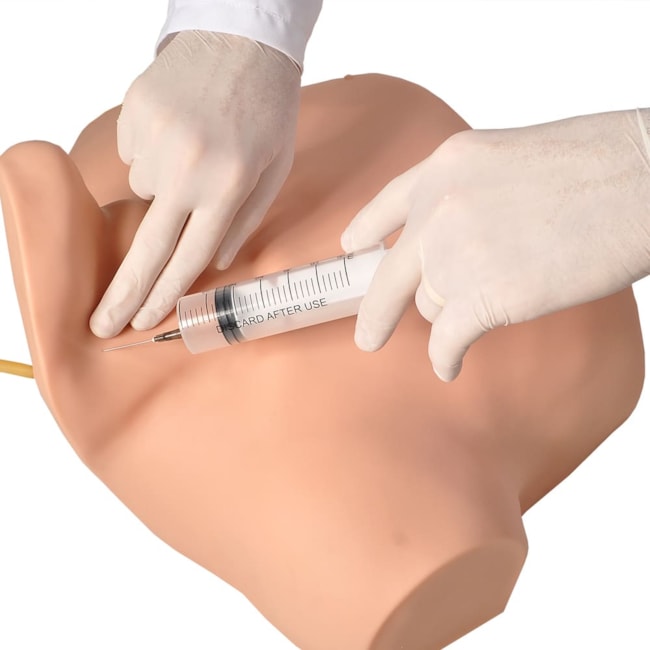 Simulador para Cateterismo Venoso Central-6e6d883e-ff77-4df5-bb7e-bccfb1b64516