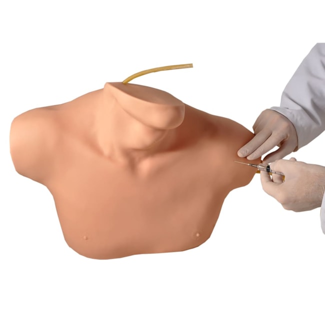 Simulador para Cateterismo Venoso Central-6768df05-3f56-4b48-96a6-e607f3227088