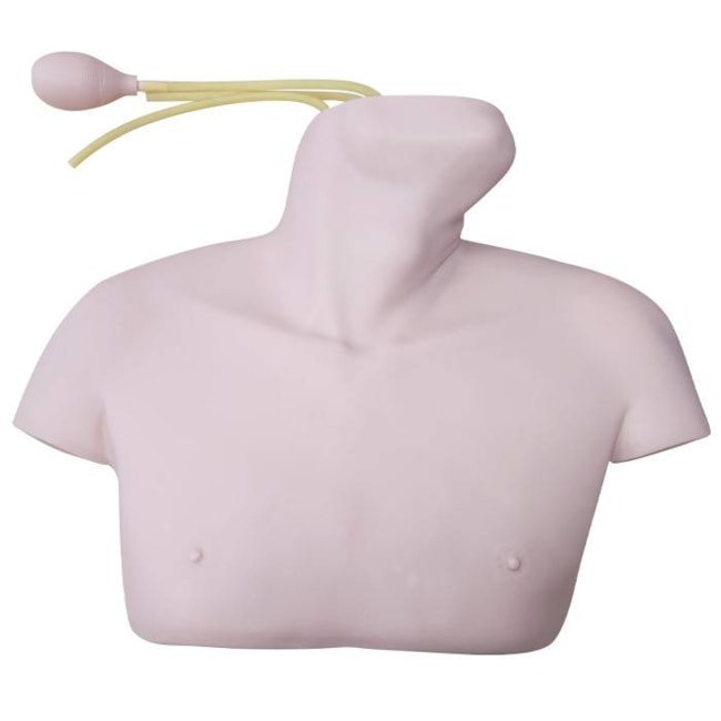 Simulador para Cateterismo Venoso Central-0a144cb7-4bf4-4702-bc35-27467ae48317