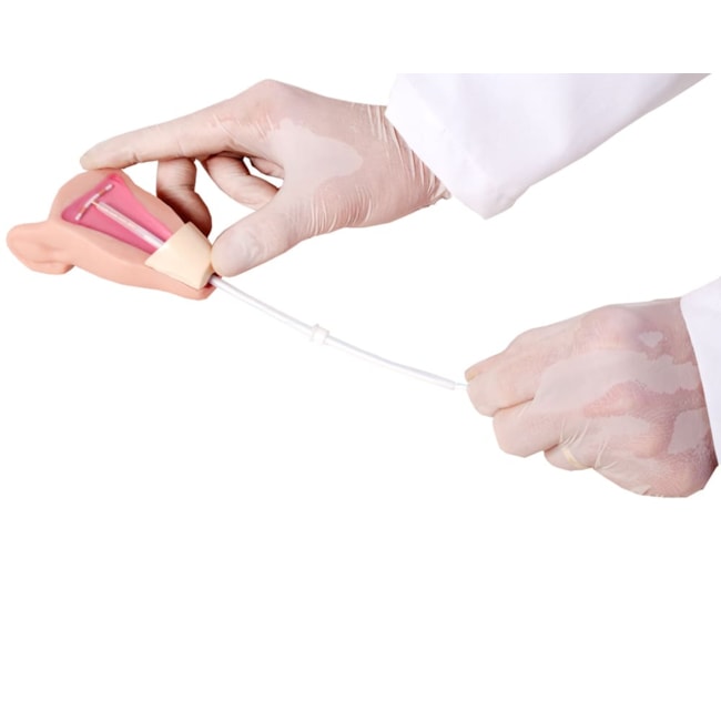 Simulador para colocação do DIU-e0e4f850-3b96-4590-8b54-edc2c4d4d7a1