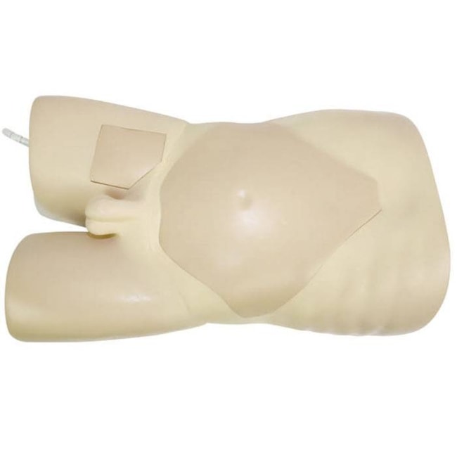 Simulador para Punção Arteriovenosa Femoral e Abdominocentese Guiada por Ultrassom-9d0cd98f-15bd-4c85-9078-4efbe6ec42b0