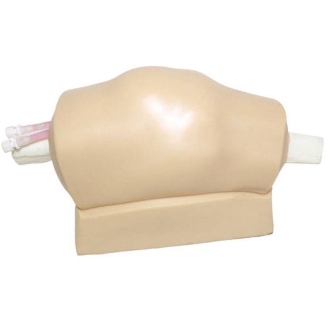 Simulador para Treinamento de Artrocentese de Joelho Guiada por Ultrassom-e2759f63-2e43-41d9-9057-4ec4632e78b4