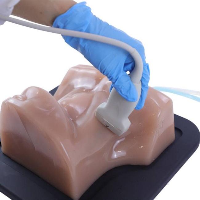 Simulador para Treinamento de Cateter Venoso Central em Jugular Interna Guiado por Ultrassom-e2cddd78-cd3e-4b1f-8d3c-ce2cd78e6257