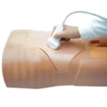 Simulador para Treinamento de Exame Abdominal por Ultrassom-978221eb-0a6e-4d50-8df4-bb7ecf0b90ac