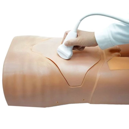 Simulador para Treinamento de Exame Abdominal por Ultrassom