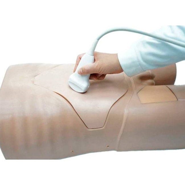 Simulador para Treinamento de Exame Abdominal por Ultrassom-077f6324-744a-4865-853e-b1e6a94c405e