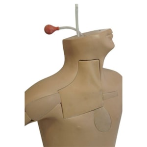 Simulador para Treinamento de PICC Guiado por Ultrassom