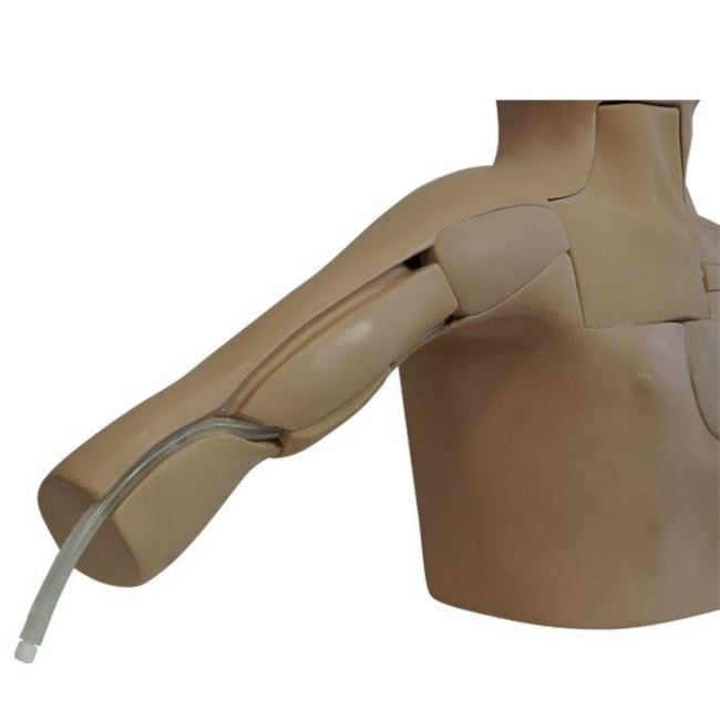 Simulador para Treinamento de PICC Guiado por Ultrassom-9dc08586-48e1-40c3-bc99-3d567b458f49