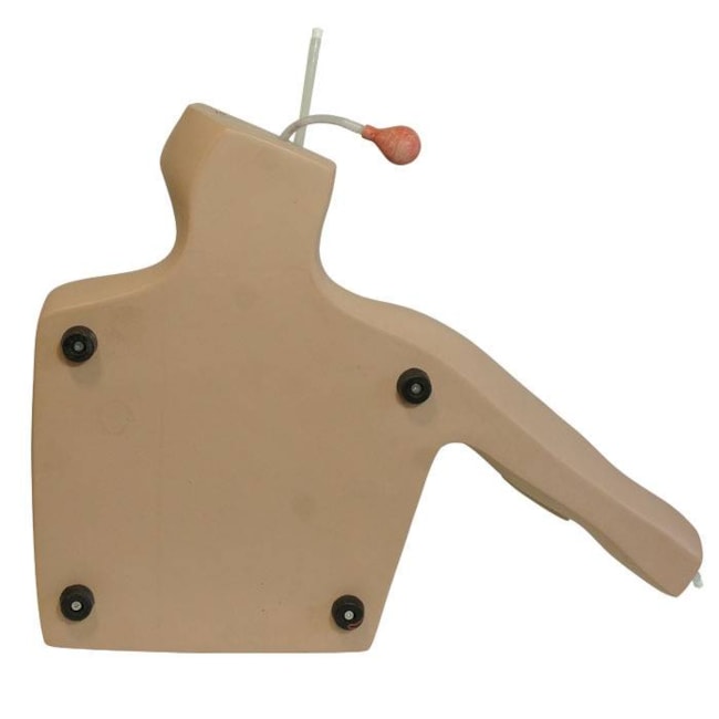 Simulador para Treinamento de PICC Guiado por Ultrassom-06cd27e6-a541-4895-a75c-c377b7df489b