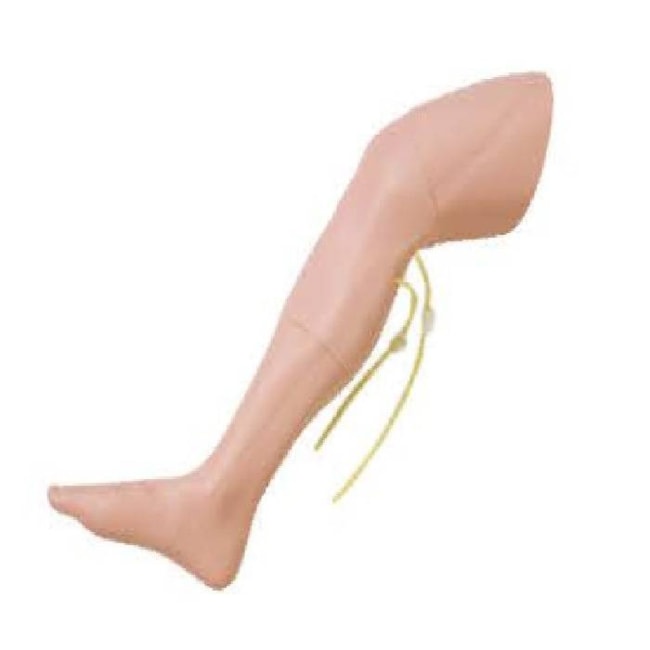 Simulador para Treinamento de Punção Intraóssea Adulto-bb6f6596-bc8f-4c69-89fe-556eaa2ae51f