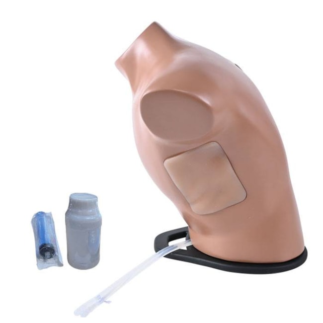 Simulador para Treinamento de Toracocentese Guiada por Ultrassom-cd7b2f56-42e6-4fd8-ae24-f83f98011915