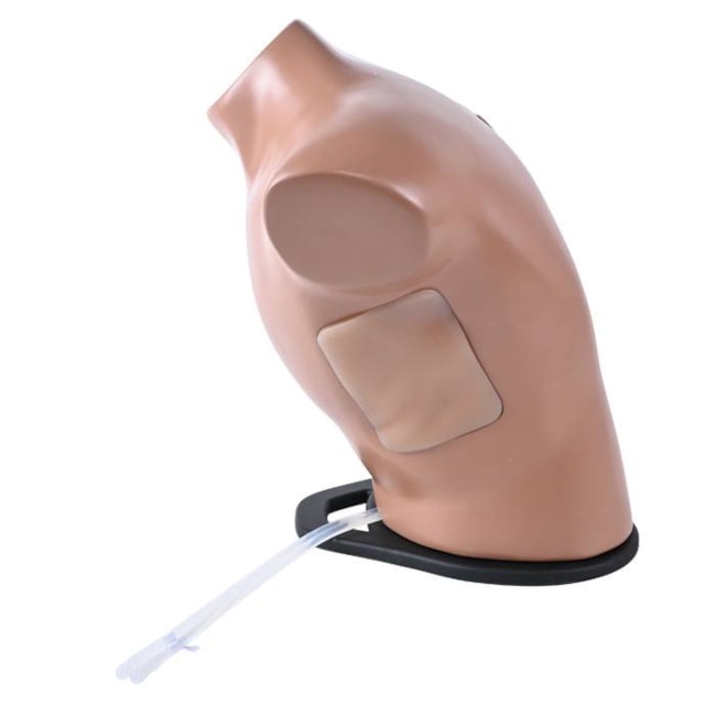 Simulador para Treinamento de Toracocentese Guiada por Ultrassom-94c06fee-63ad-4a5d-80ad-8d377c16c7af