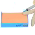 Simulador para Treino de Injeção Intramuscular-70cc7e63-a081-49ff-8e33-2e3c0ddf7334