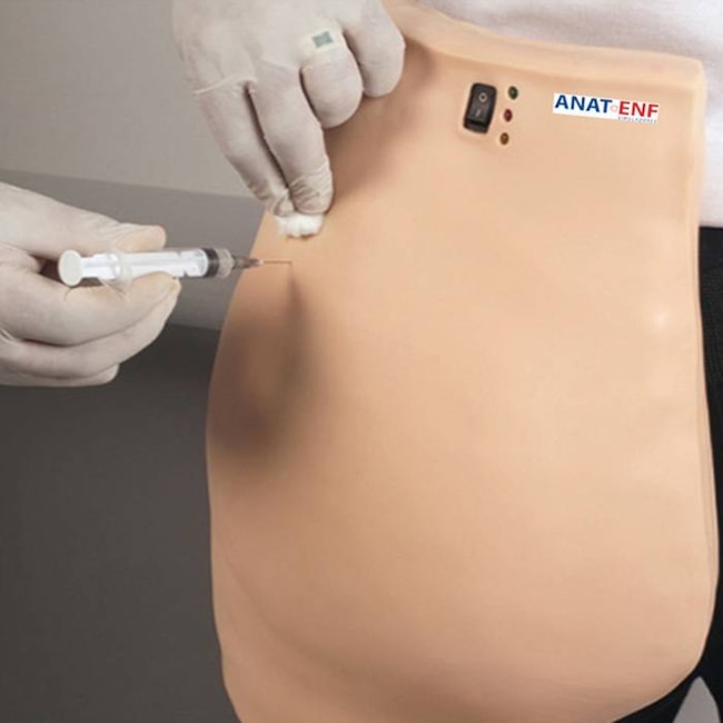 Simulador para Treino de Injeção Intramuscular no Glúteo com Dispositivo de Advertência-cbda07a8-9b15-4c24-82cc-25365b3fa3bc