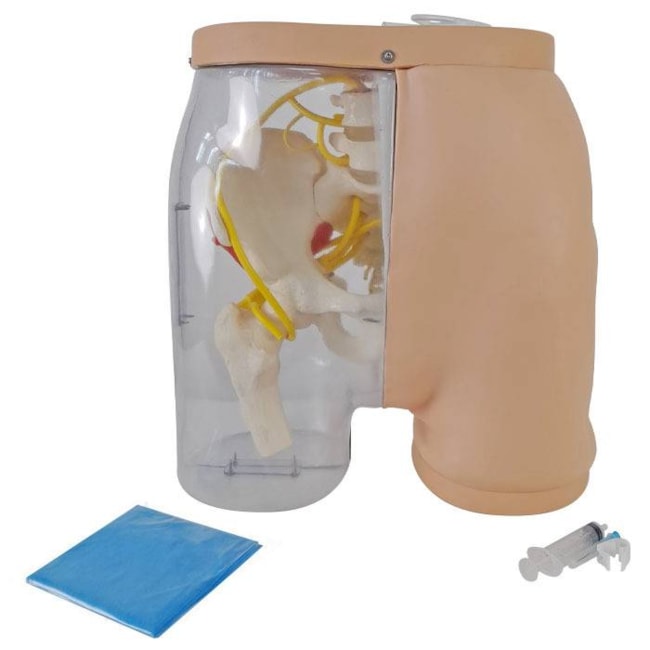 Simulador para Treino de Injeção Intramuscular no Glúteo com Visualização da Estrutura Interna e Dispositivo de Sinalização de Advertência-390404c9-2c50-4af5-89a1-46b400f1b3f4