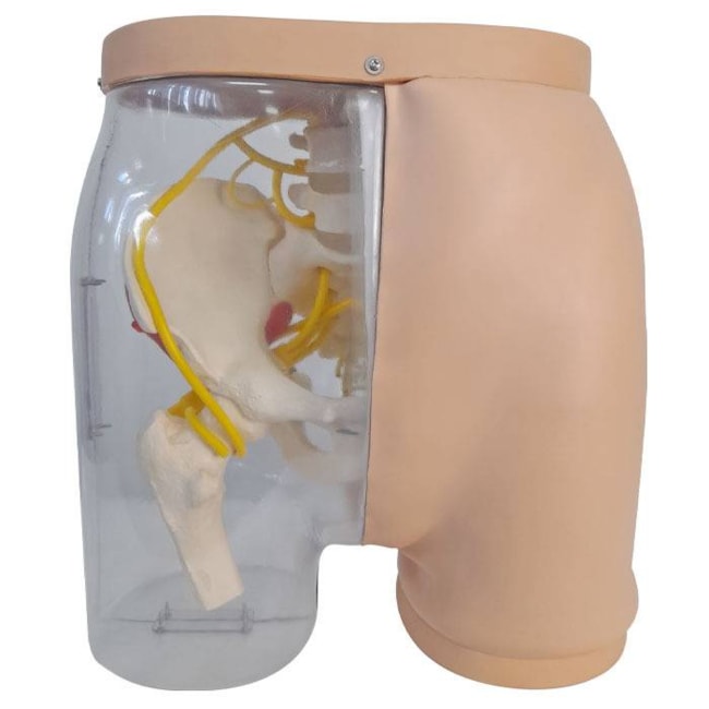 Simulador para Treino de Injeção Intramuscular no Glúteo com Visualização da Estrutura Interna e Dispositivo de Sinalização de Advertência-1c95c3a3-aa9d-4256-a332-293c6e21d1e0
