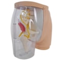 Simulador para Treino de Injeção Intramuscular no Glúteo com Visualização da Estrutura Interna e Dispositivo de Sinalização de Advertência-3ce72b97-f2a1-4c77-8783-04c33a9c4460