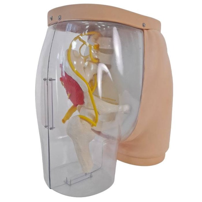 Simulador para Treino de Injeção Intramuscular no Glúteo com Visualização da Estrutura Interna e Dispositivo de Sinalização de Advertência-dc87870f-23ad-4cf5-8603-fd7d4f092290