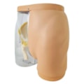 Simulador para Treino de Injeção Intramuscular no Glúteo com Visualização da Estrutura Interna e Dispositivo de Sinalização de Advertência-499acf0a-5b6b-4568-8985-d1a72a3878ef