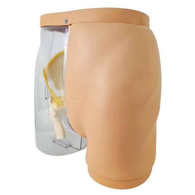 Simulador para Treino de Injeção Intramuscular no Glúteo com Visualização da Estrutura Interna e Dispositivo de Sinalização de Advertência-a2ee41ee-6c96-4a95-b588-5e6c65636862