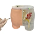 Simulador para Treino de Injeção Intramuscular no Glúteo com Visualização da Estrutura Interna e Dispositivo de Sinalização de Advertência-ec53dbfb-d7c9-48ad-a3dd-c046091fcc14