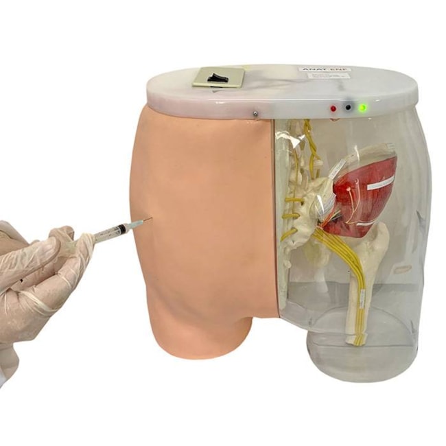 Simulador para Treino de Injeção Intramuscular no Glúteo com Visualização da Estrutura Interna e Dispositivo de Sinalização de Advertência-f1f761d6-cbf6-4f6c-a18b-3ddd26cd074e
