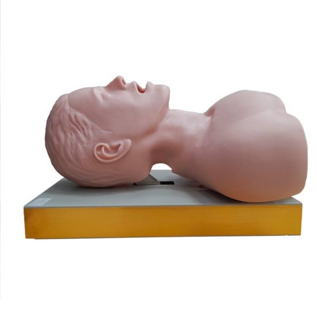 Simulador para Treino de Intubação Traqueal com Visualização das Vias Aéreas-2c784dec-76fd-4047-a6ed-8344fa239aa8