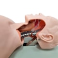 Simulador para Treino de Intubação Traqueal com Visualização das Vias Aéreas-4106f4eb-58e4-4794-8ead-e3ee9fff4bda