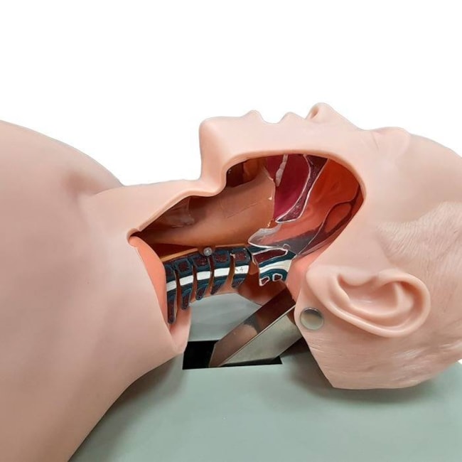 Simulador para Treino de Intubação Traqueal com Visualização das Vias Aéreas-f6812612-6606-4358-956c-b1dc28fef51e