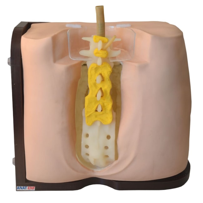 Simulador para Treino de Punção e Infusão Lombar-e9f0c5f7-725d-47e2-a12c-553dfe171d42