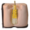 Simulador para Treino de Punção e Infusão Lombar-b68e70a1-a738-4277-baba-386d978529ad