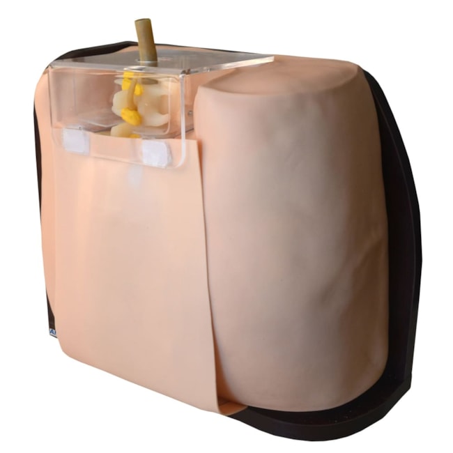Simulador para Treino de Punção e Infusão Lombar-a1ac3d1b-f12c-41ca-93b0-11738b304f45