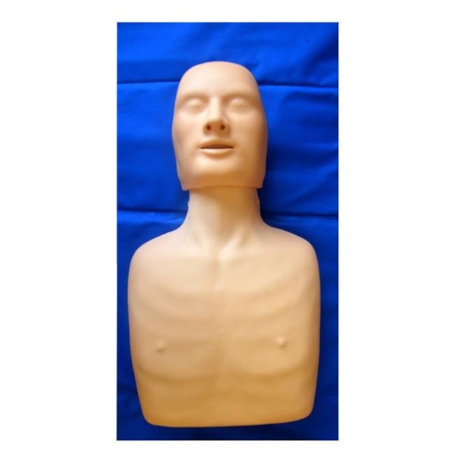 Simulador para Treino de RCP Adulto e Infantil-6b610fde-ccc6-4ce3-9f97-6344cd4065cd