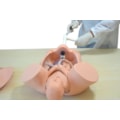 Simulador Parto Normal com Barriga Removível com Sistema de Manivela-55deee46-a9a9-4004-90fc-e53d58ffe479