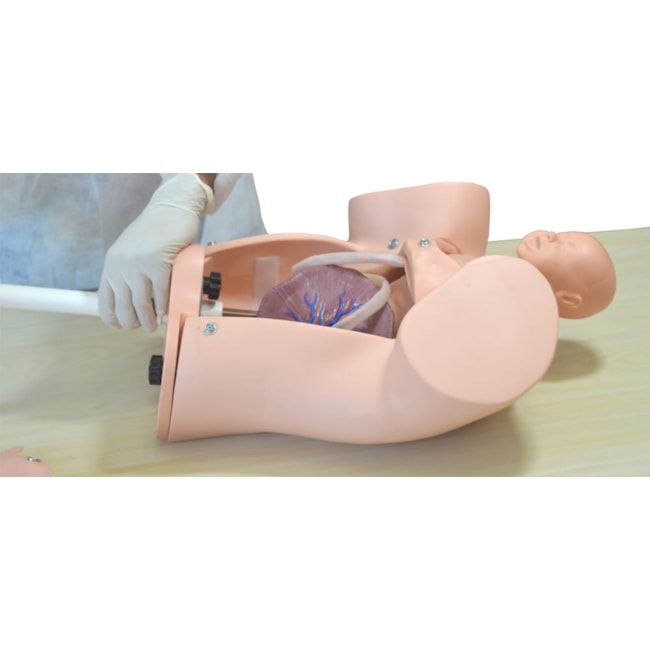 Simulador Parto Normal com Barriga Removível com Sistema de Manivela-dc9fb594-3601-4178-92d1-6a868fedac8a
