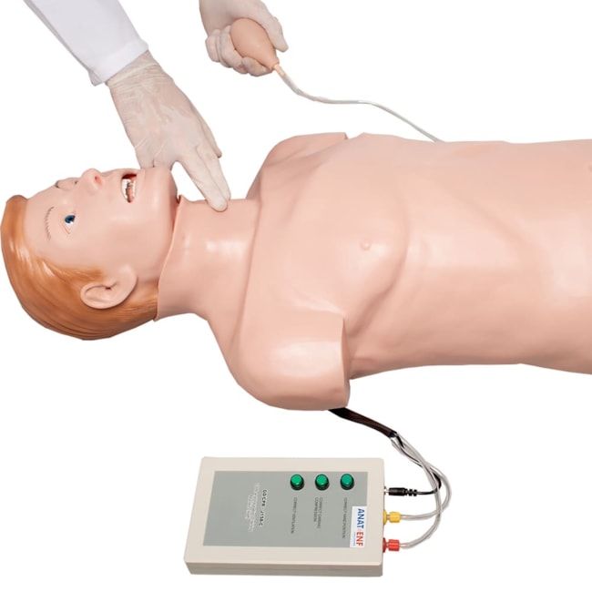 Simulador Torso Adulto para Treino de RCP e Intubação-77afeeb7-04bc-44cf-97ab-8cac9c004553