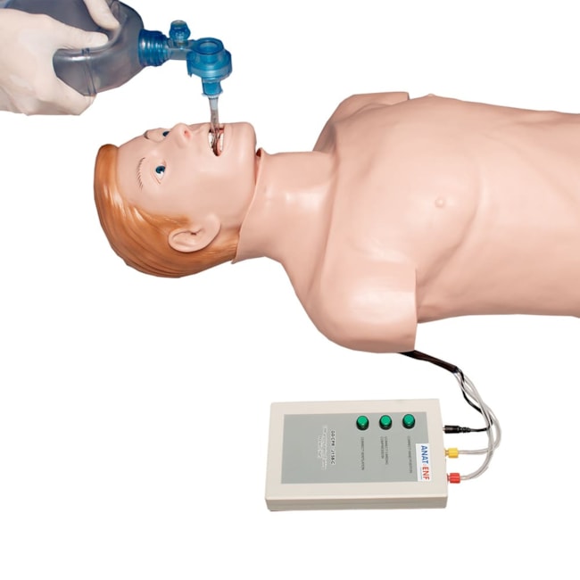 Simulador Torso Adulto para Treino de RCP e Intubação-d36de498-bad0-4a33-9fe8-54cf5ebd5b0f
