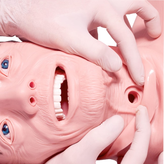 Simulador Torso Geriátrico para Treino de RCP e Intubação-2510c450-accb-4e24-9e7e-98673a9fbafe