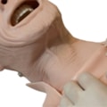 Simulador Torso Geriátrico para Treino de RCP e Intubação-b66be835-9bb9-485b-b3e7-fbedcfe3ab00
