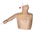 Simulador Torso para Treinamento de Cateterismo Venoso Central Guiado por Ultrassom-5853380f-ec59-4d87-ab6a-32e5e1d39e0b