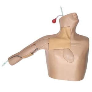 Simulador Torso para Treinamento de Cateterismo Venoso Central Guiado por Ultrassom